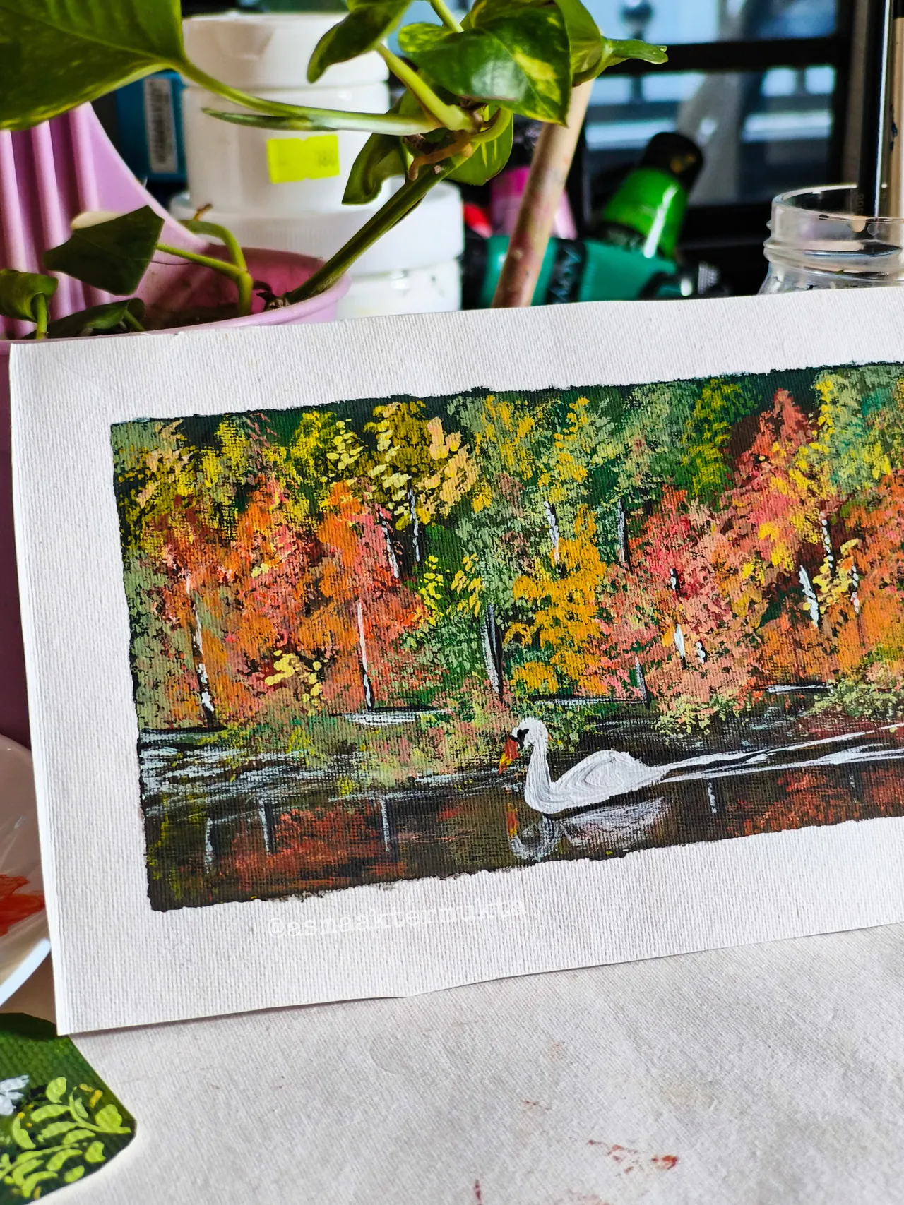 Swan painting on paper
