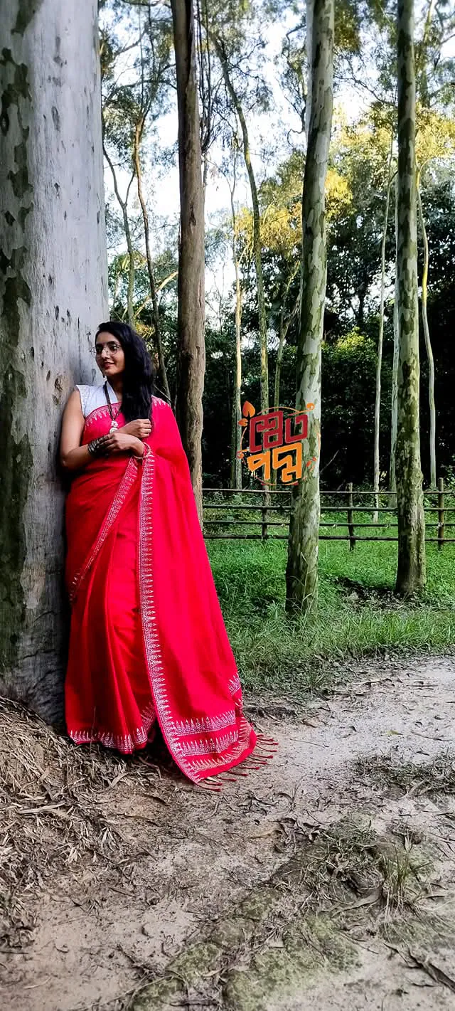 Handstitched saree