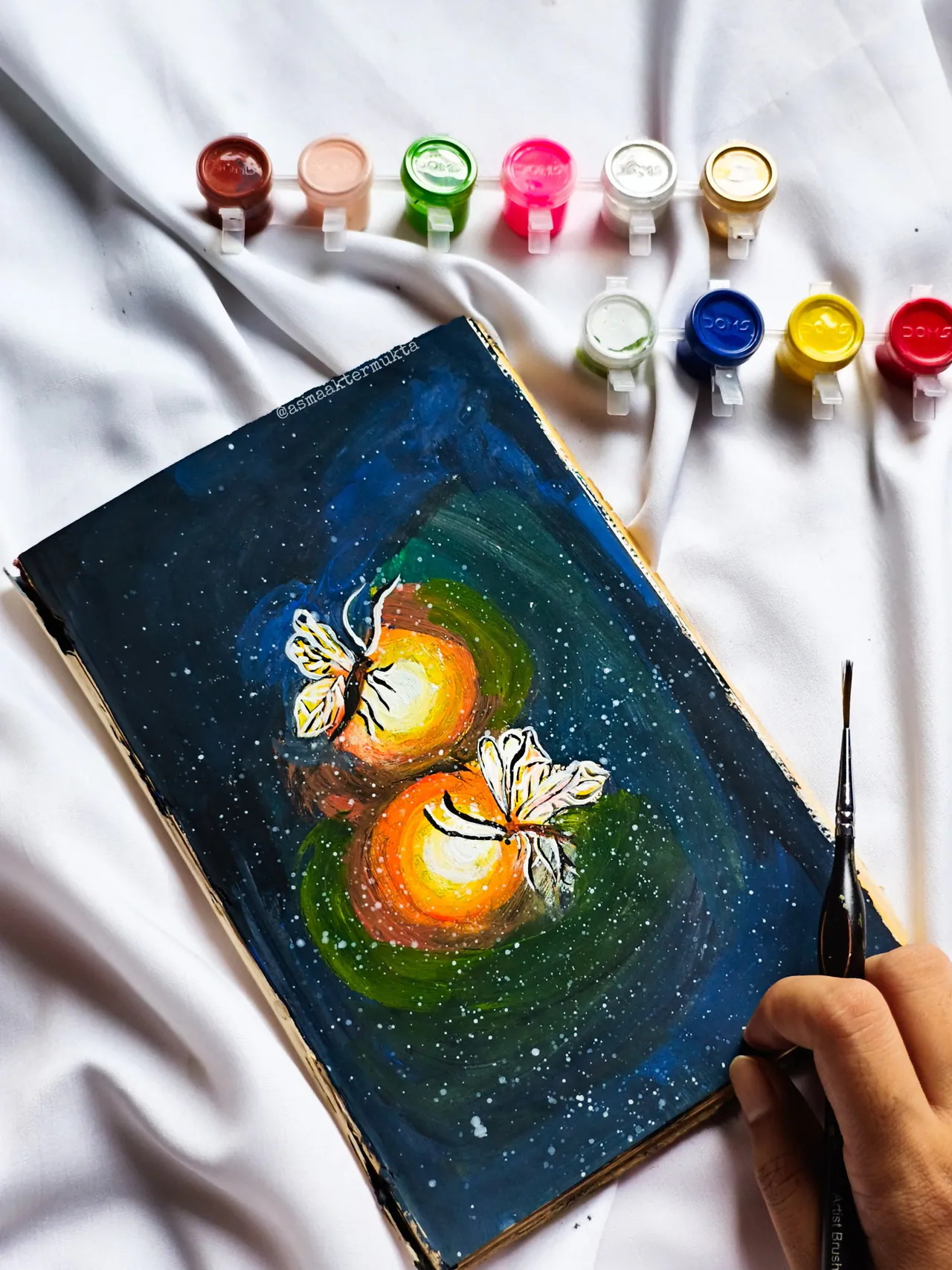 Butterfly 5